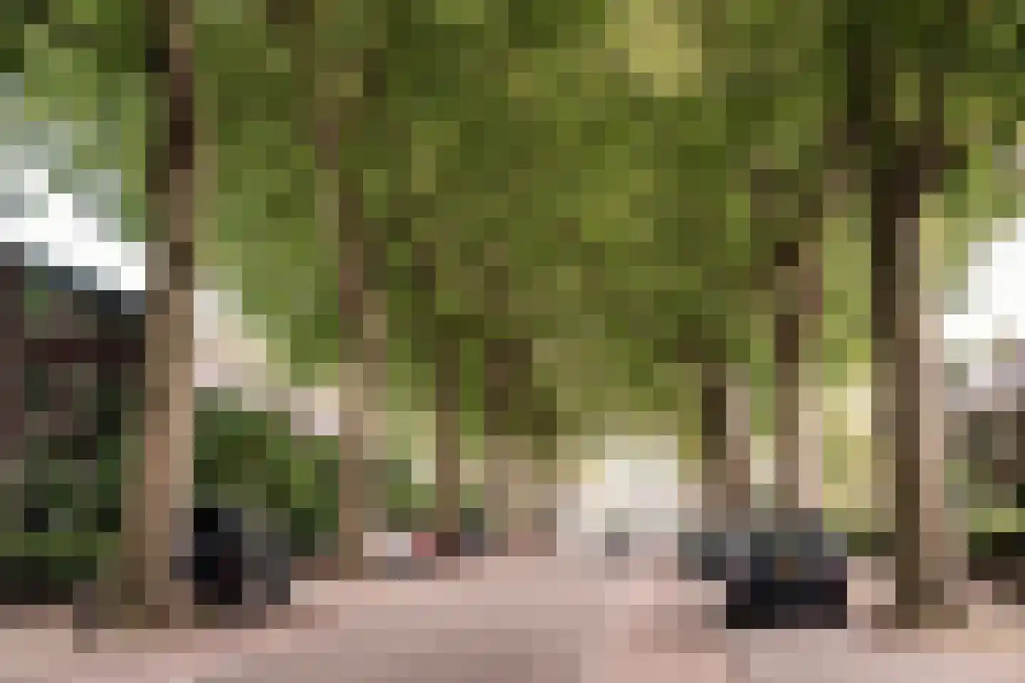 Koningsweg 93 Utrecht thumbnail 22