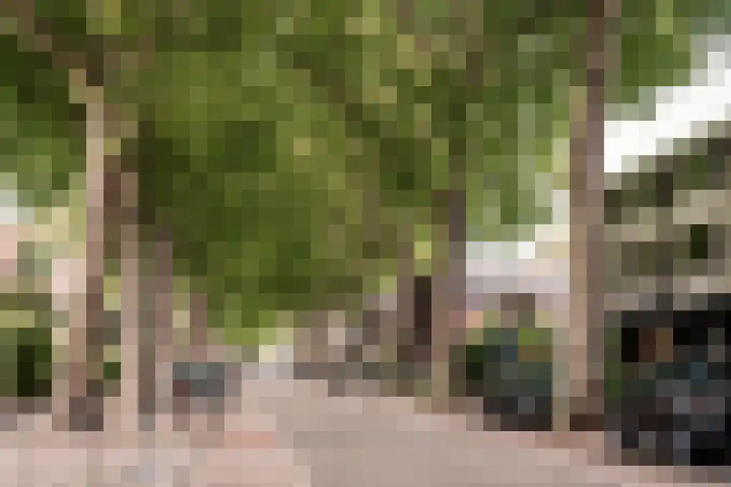 Koningsweg 93 Utrecht thumbnail 36