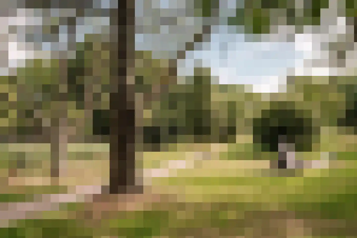 Koningsweg 93 Utrecht thumbnail 37