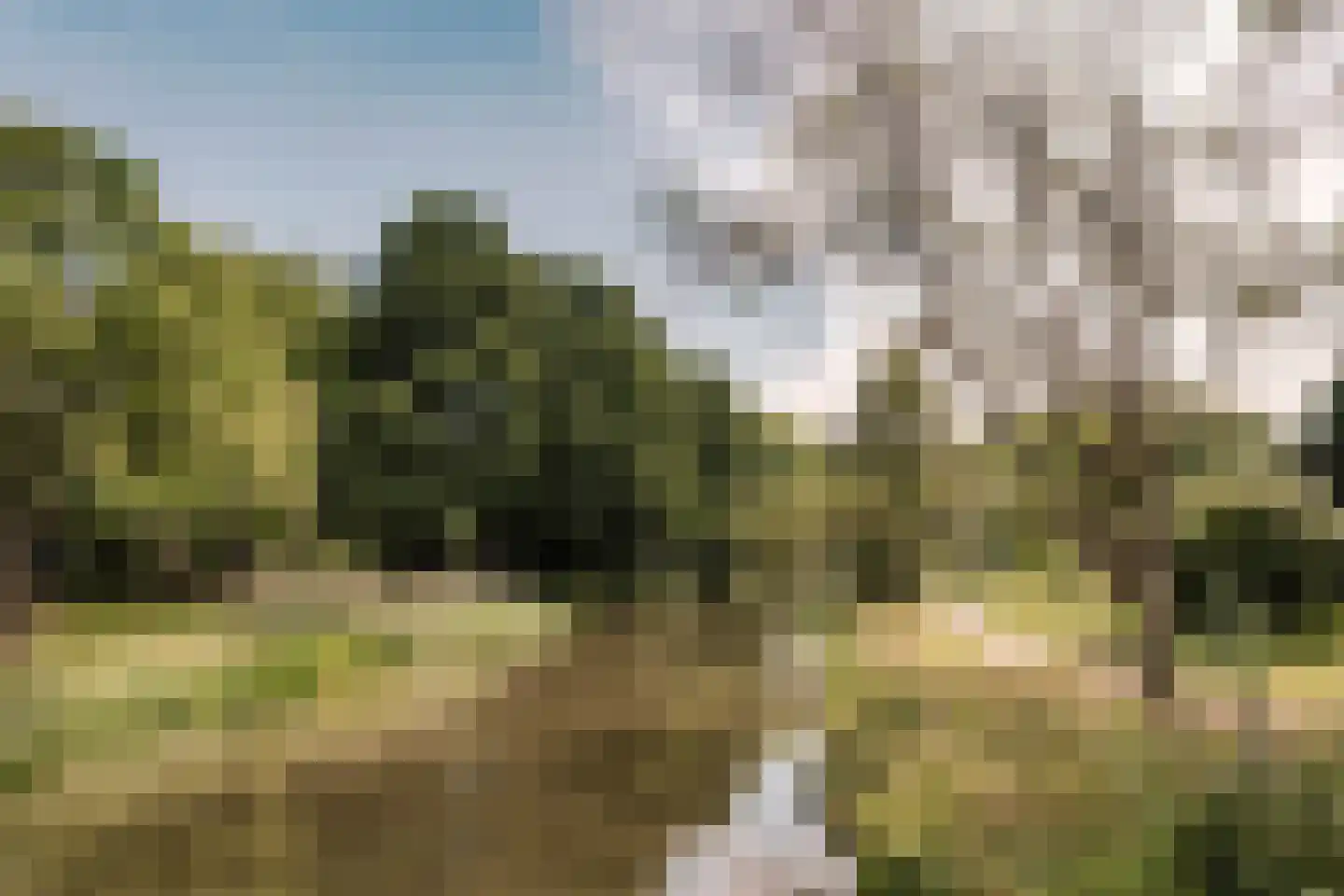 Koningsweg 93 Utrecht thumbnail 38