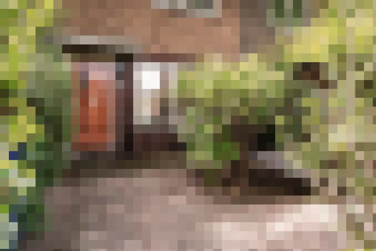 Koningsweg 93 Utrecht thumbnail 4