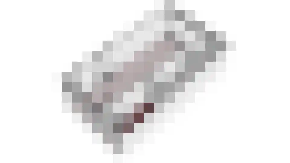 Koningsweg 93 Utrecht thumbnail 44