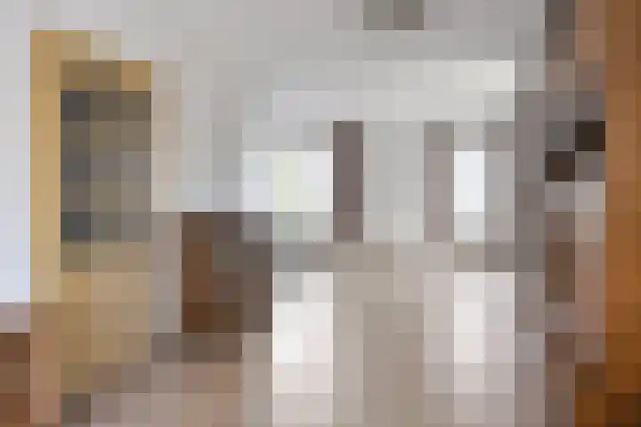 Koningszuur 2 Dodewaard thumbnail 10