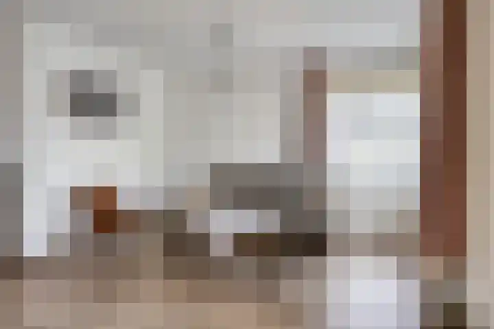 Koningszuur 2 Dodewaard thumbnail 12