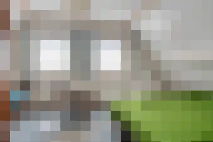 Koningszuur 2 Dodewaard thumbnail 27