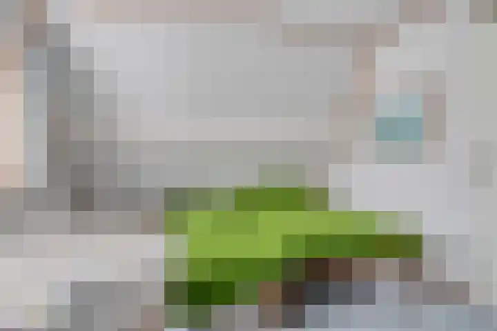 Koningszuur 2 Dodewaard thumbnail 28
