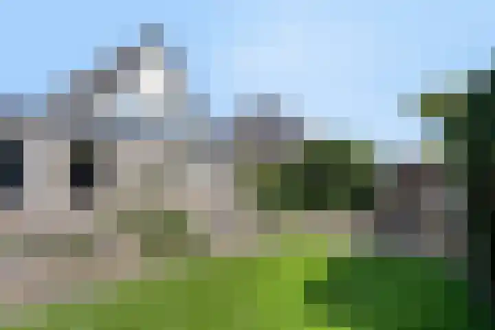 Koningszuur 2 Dodewaard thumbnail 35