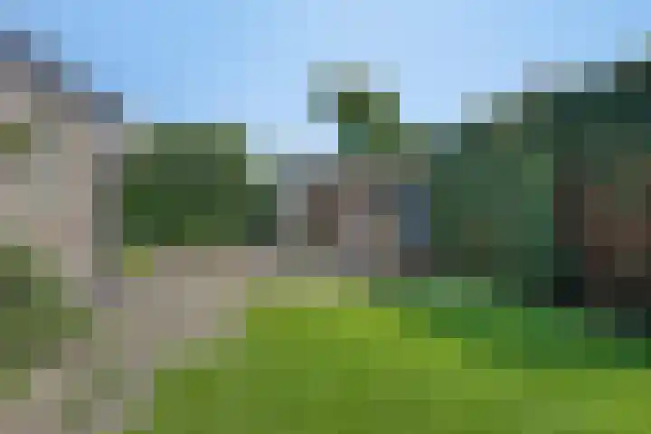 Koningszuur 2 Dodewaard thumbnail 36