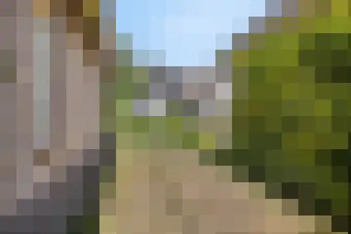Koningszuur 2 Dodewaard thumbnail 38