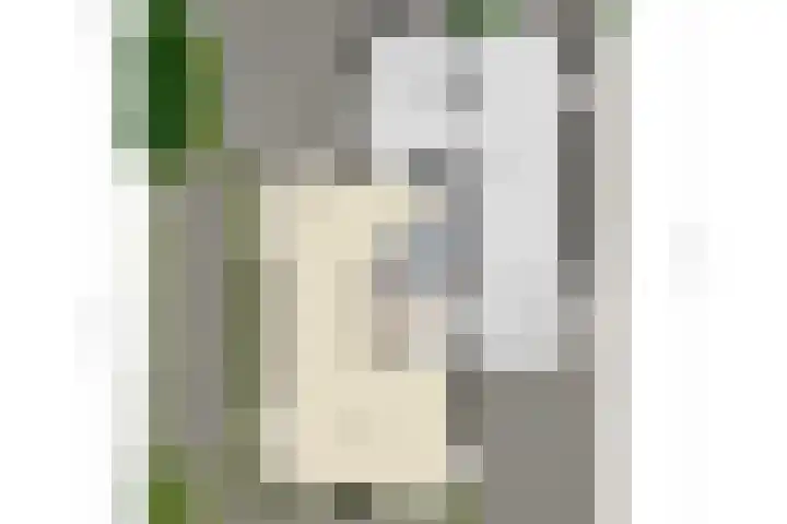 Koningszuur 2 Dodewaard thumbnail 39
