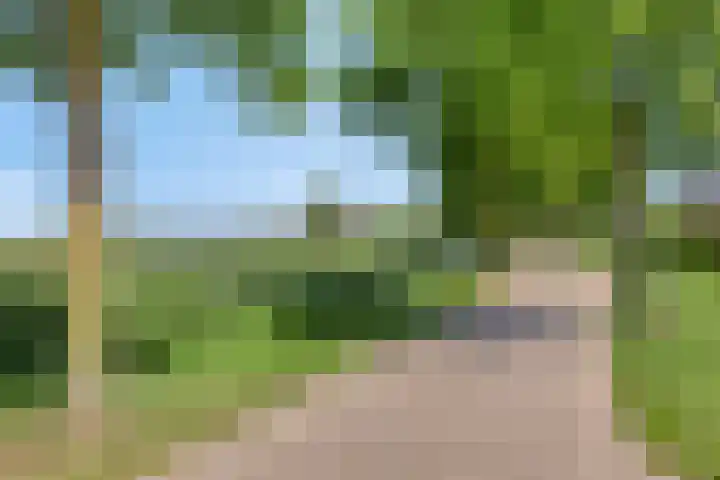 Koningszuur 2 Dodewaard thumbnail 40