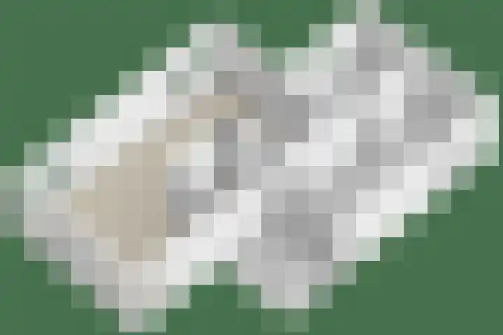 Koningszuur 2 Dodewaard thumbnail 42