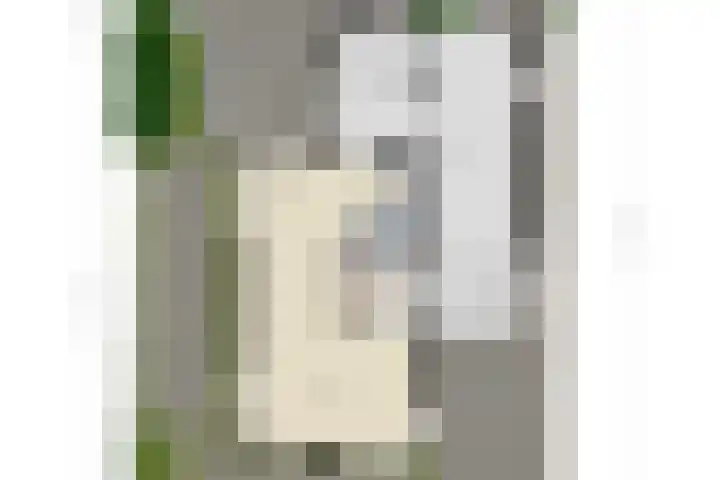 Koningszuur 2 Dodewaard thumbnail 47