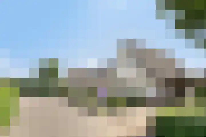 Koningszuur 2 Dodewaard thumbnail 5