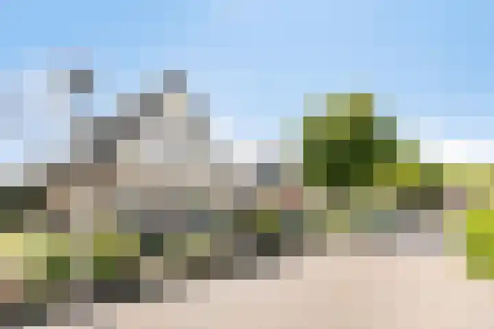Koningszuur 2 Dodewaard thumbnail 7
