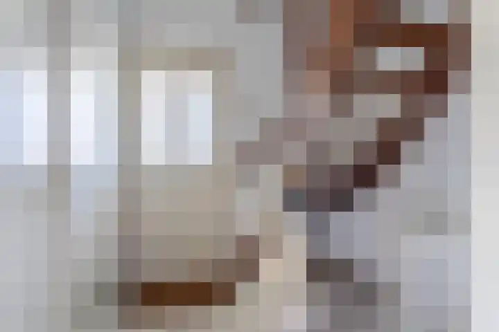 Koningszuur 2 Dodewaard thumbnail 8