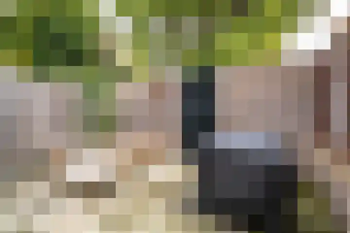 Koninklijke Marinelaan 7 Voorschoten thumbnail 17