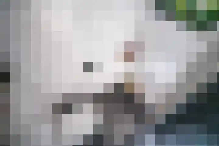 Koninklijke Marinelaan 7 Voorschoten thumbnail 21
