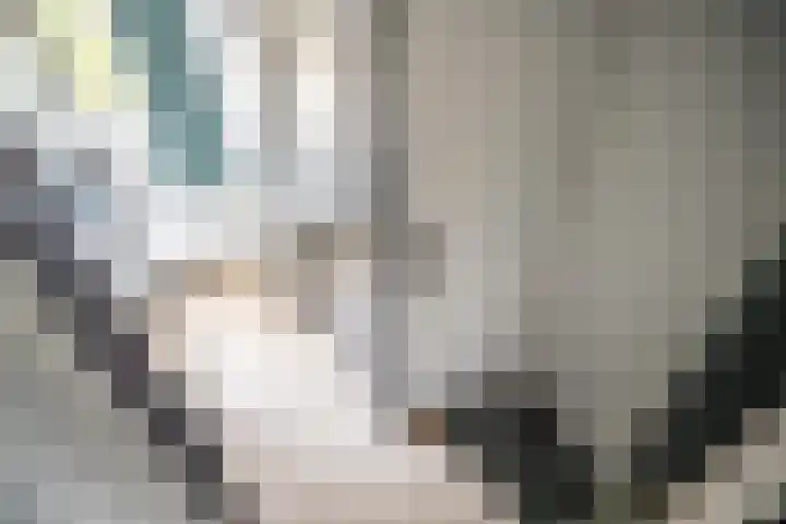 Koninklijke Marinelaan 7 Voorschoten thumbnail 27