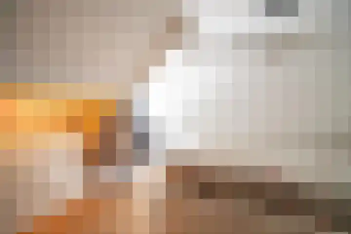 Koninklijke Marinelaan 7 Voorschoten thumbnail 38