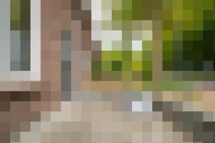 Koninklijke Marinelaan 7 Voorschoten thumbnail 40