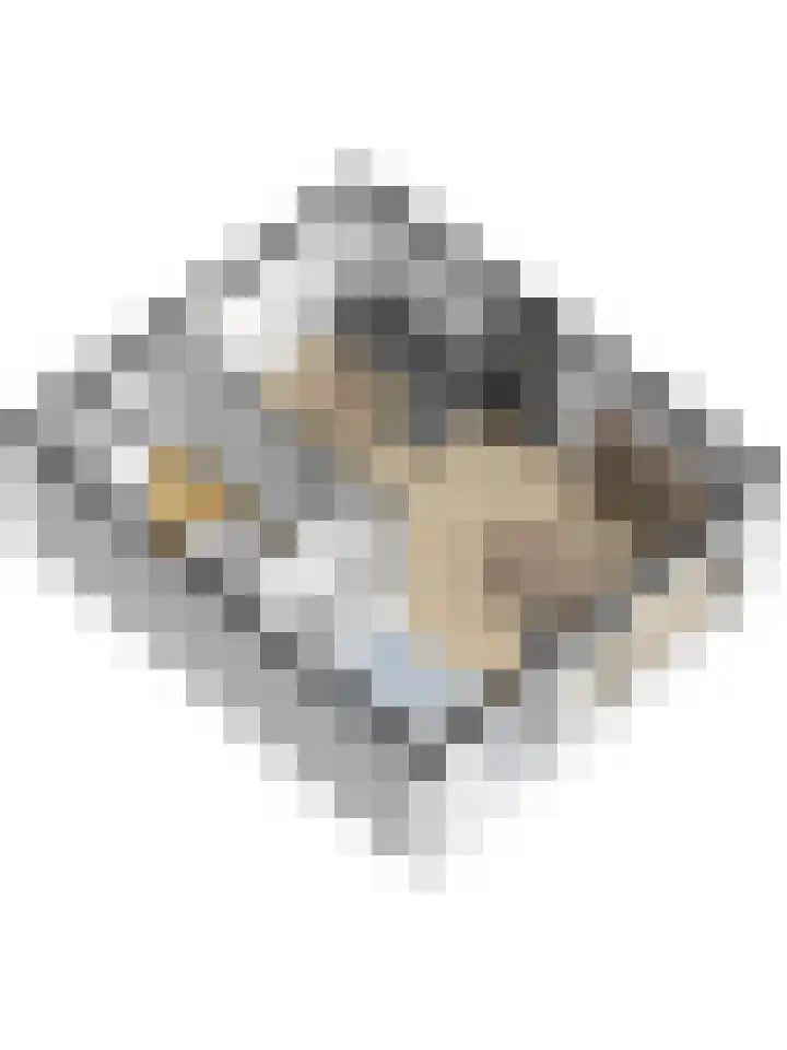 Koninkrijkstraat 12 Kerkdriel thumbnail 37