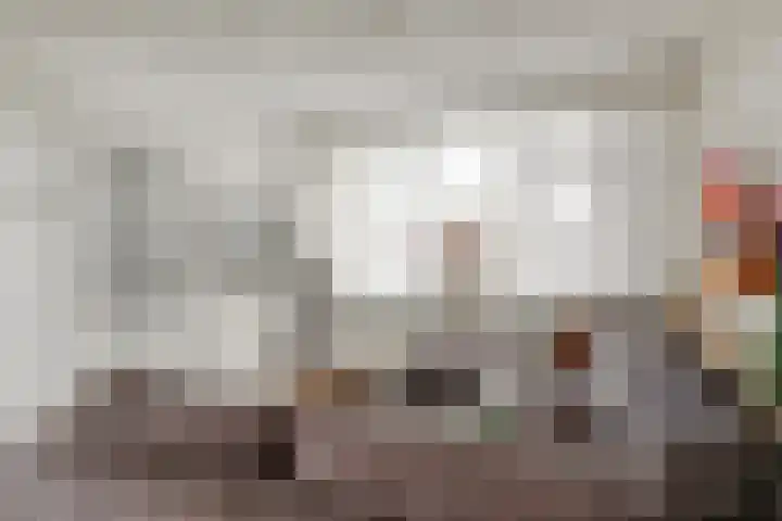 Koninkrijkstraat 12 Kerkdriel thumbnail 5