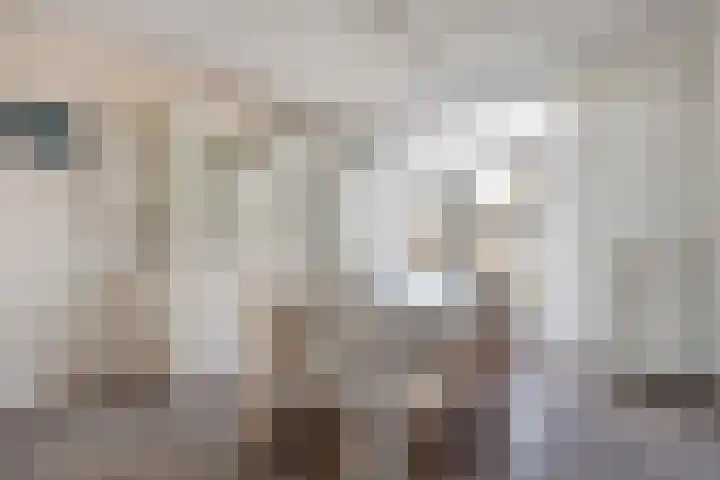 Koninkrijkstraat 12 Kerkdriel thumbnail 6