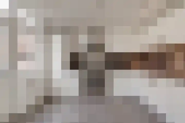 Koninkrijkstraat 12 Kerkdriel thumbnail 9