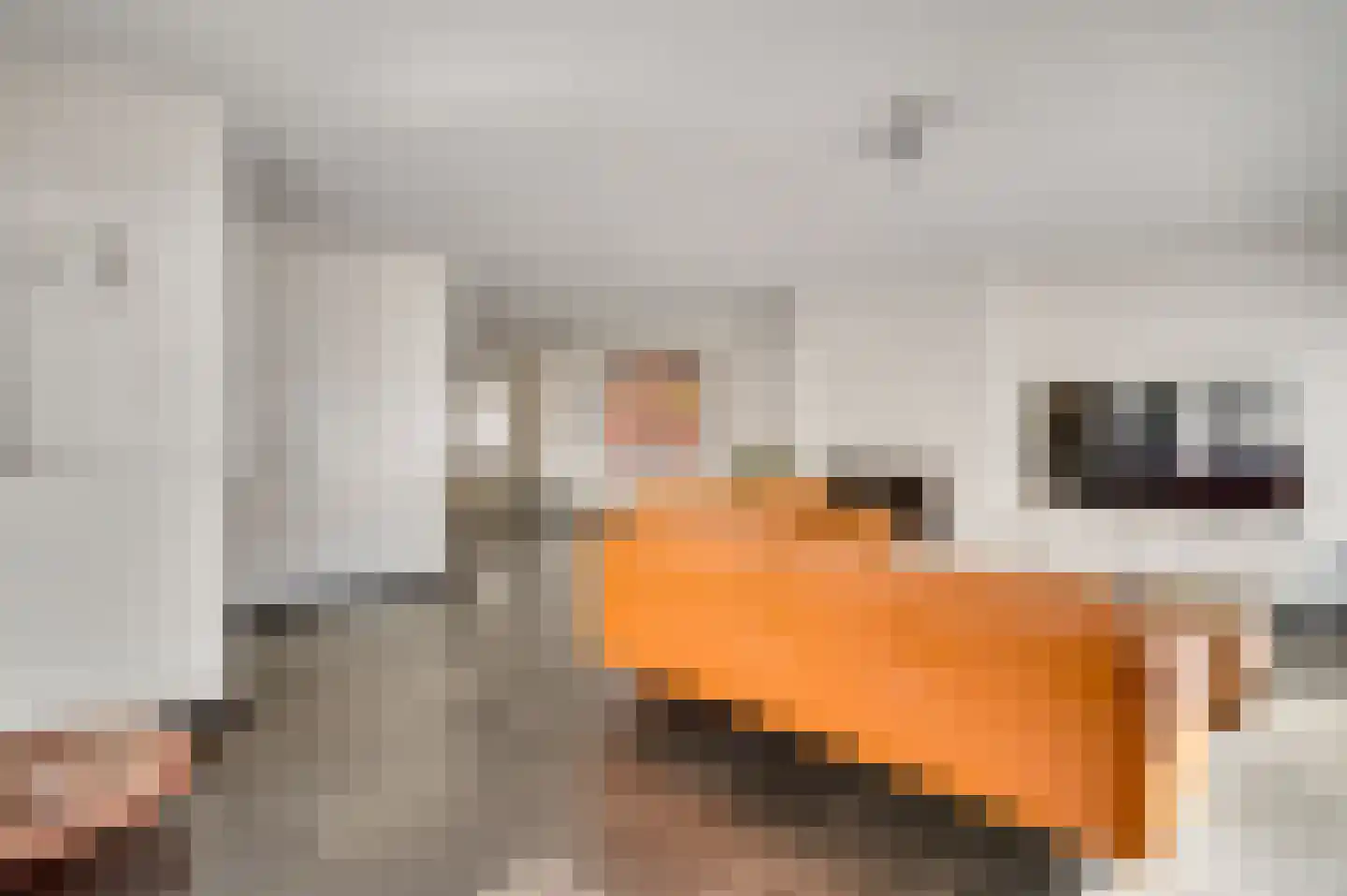 Koninksemstraat 34 Maastricht thumbnail 7