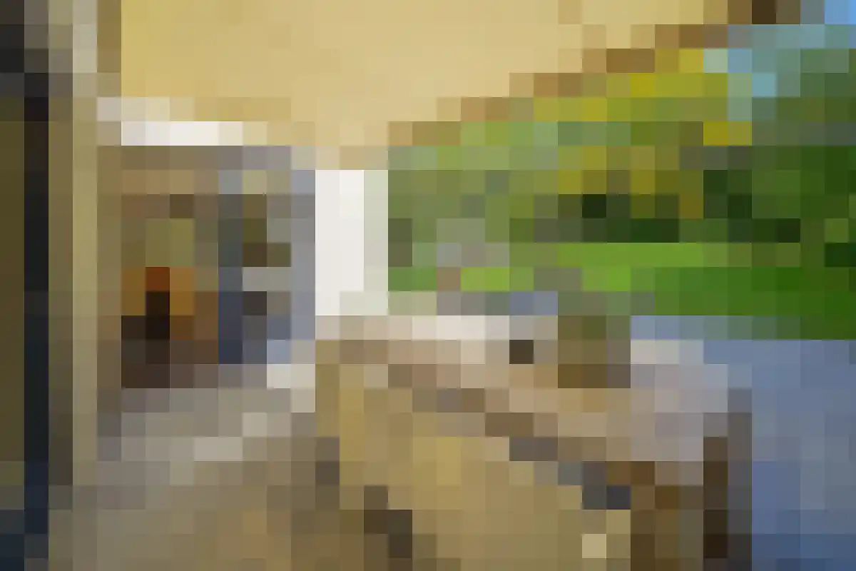 Koninksemstraat 9 Maastricht thumbnail 6
