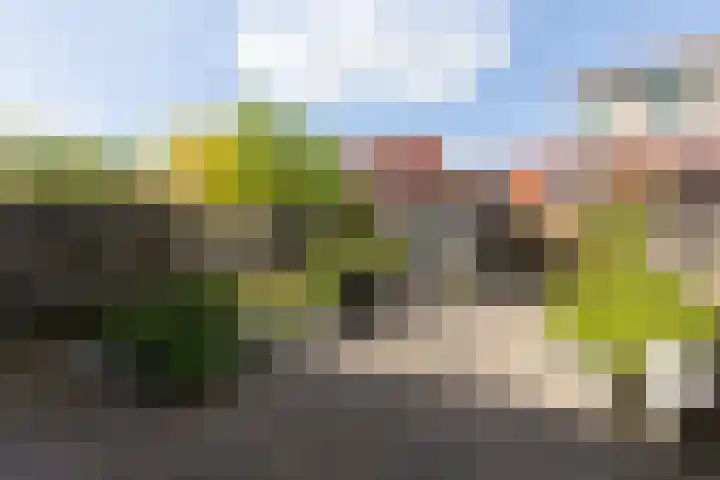 Konrad Adenauerplein 12 Doetinchem thumbnail 20