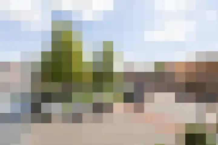 Konrad Adenauerplein 12 Doetinchem thumbnail 35