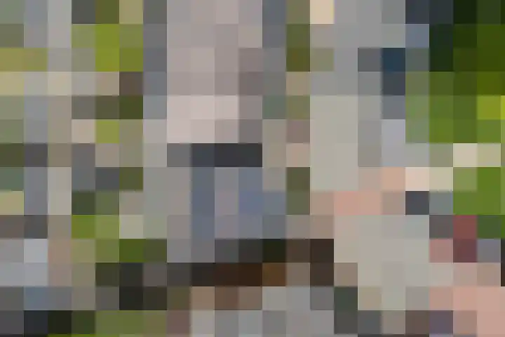 Konrad Adenauerplein 12 Doetinchem thumbnail 47