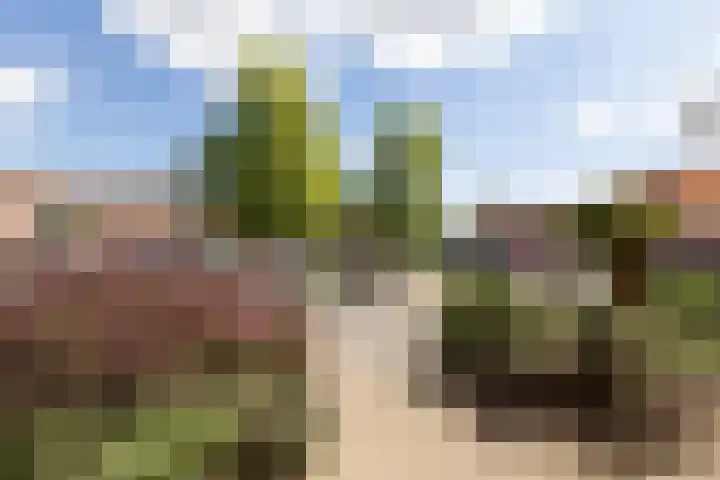 Konrad Adenauerplein 12 Doetinchem thumbnail 51
