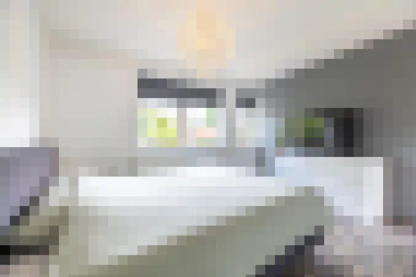 Konrad Adenauerplein 13 Doetinchem thumbnail 25