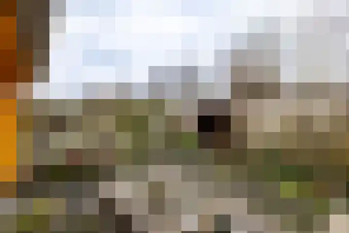 Konrad Adenauerplein 19 Doetinchem thumbnail 11