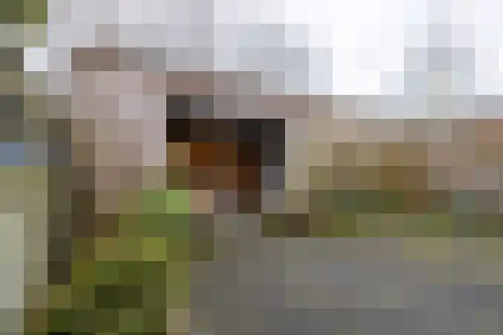 Konrad Adenauerplein 19 Doetinchem thumbnail 13