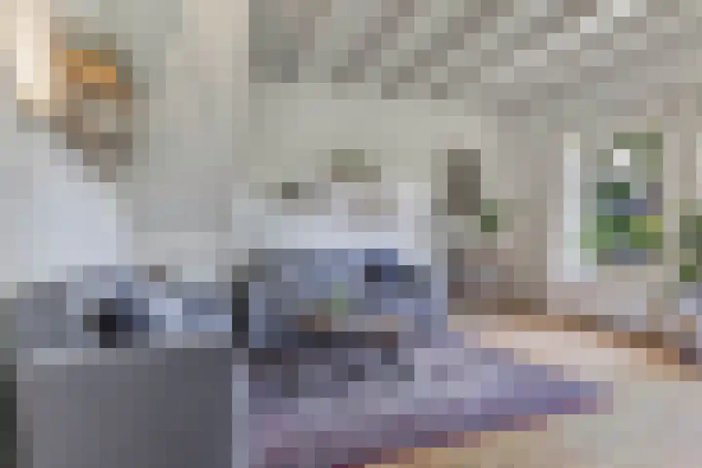 Kontermansweg 43 De Hoeve thumbnail 10
