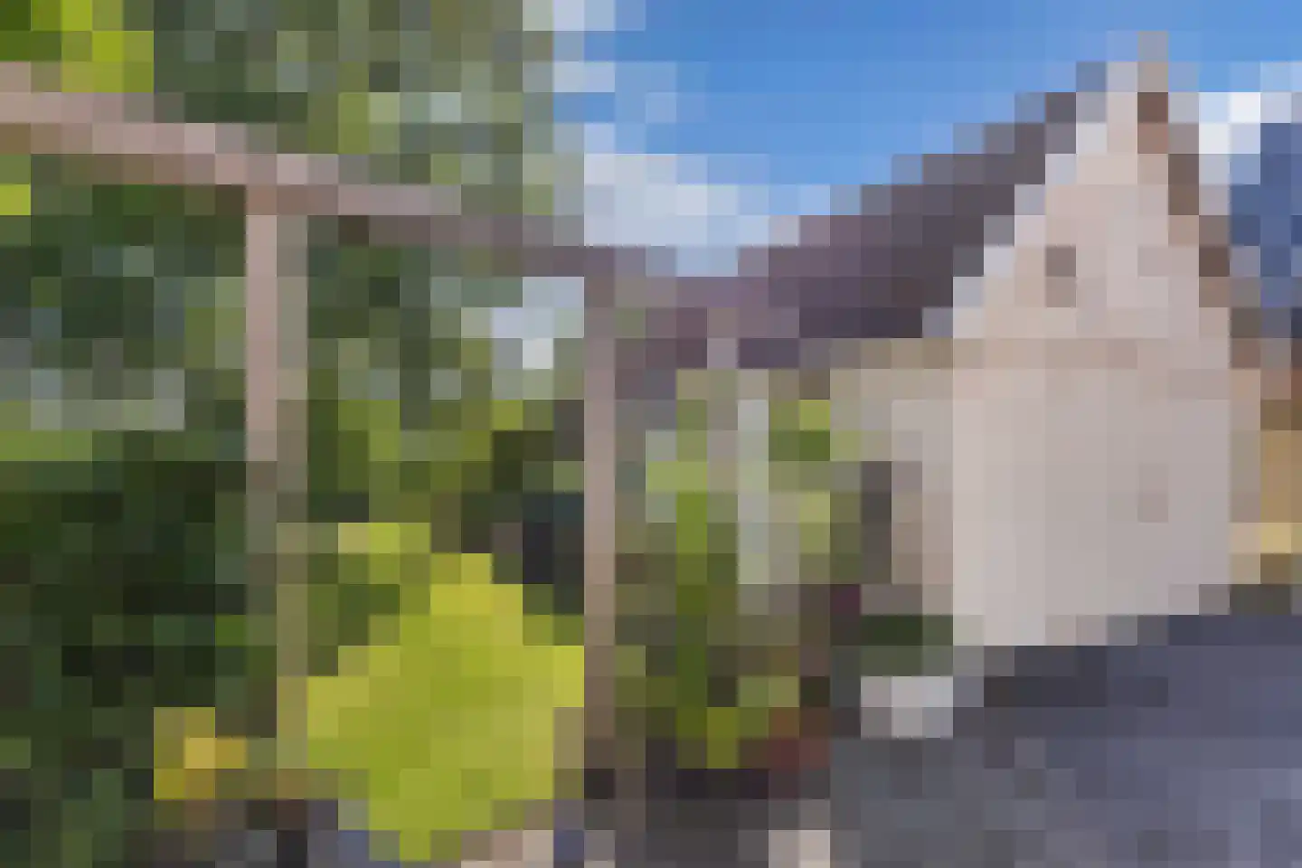 Kontermansweg 43 De Hoeve thumbnail 35
