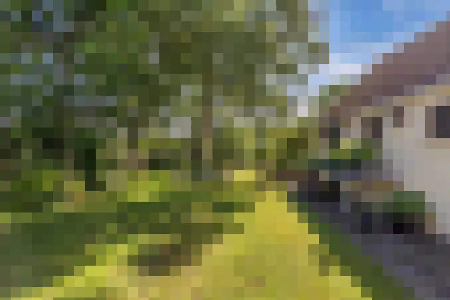 Kontermansweg 43 De Hoeve thumbnail 36