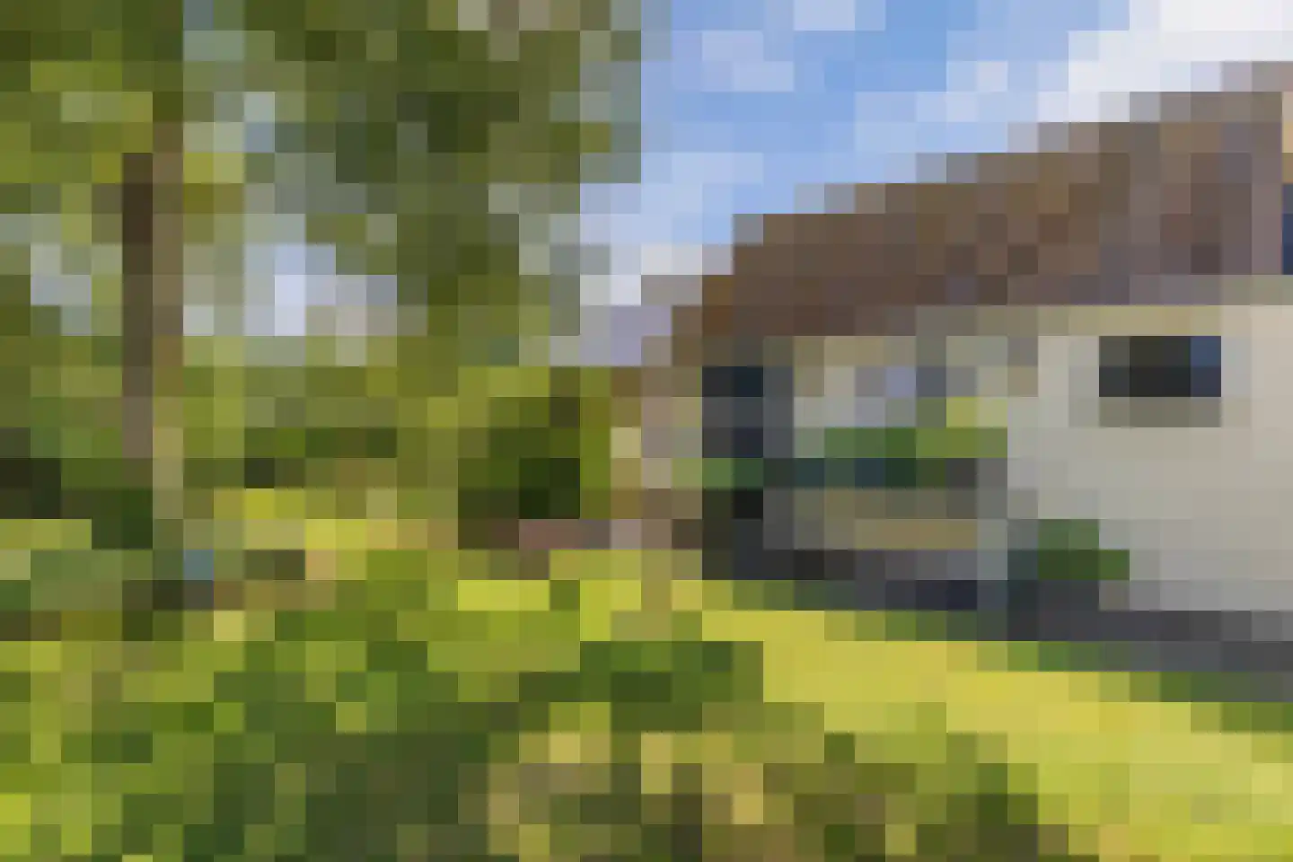 Kontermansweg 43 De Hoeve thumbnail 37