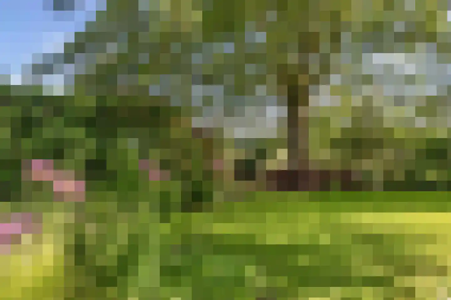 Kontermansweg 43 De Hoeve thumbnail 38