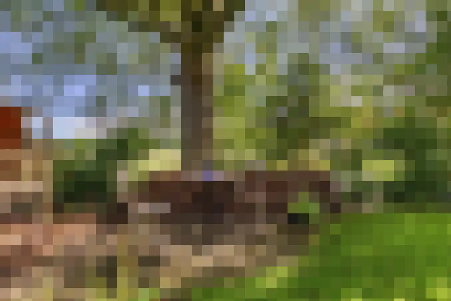 Kontermansweg 43 De Hoeve thumbnail 39