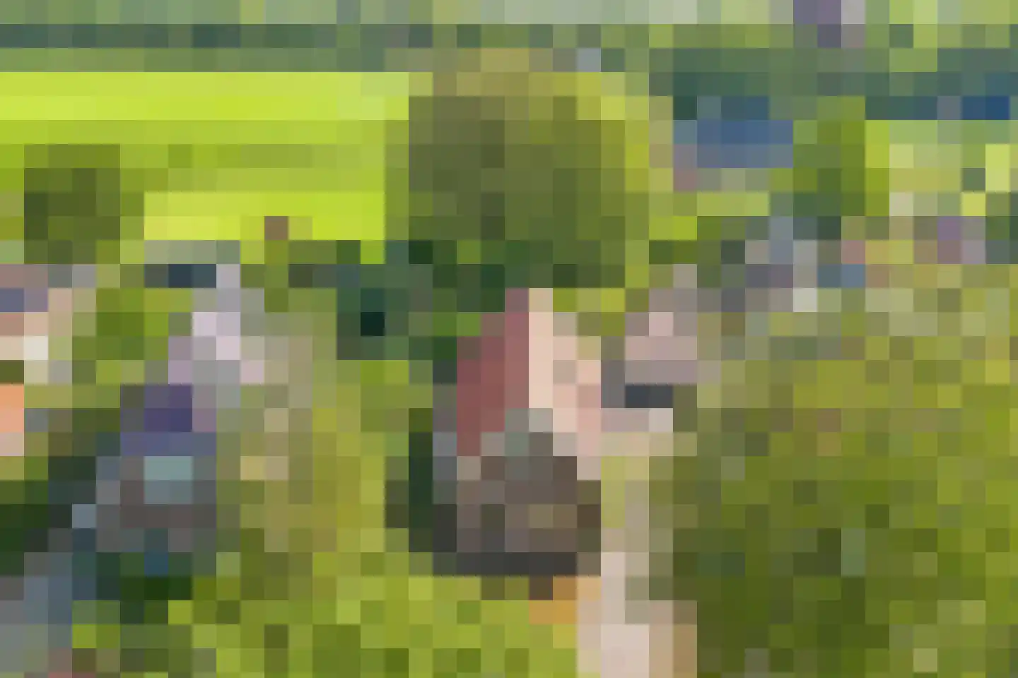 Kontermansweg 43 De Hoeve thumbnail 45