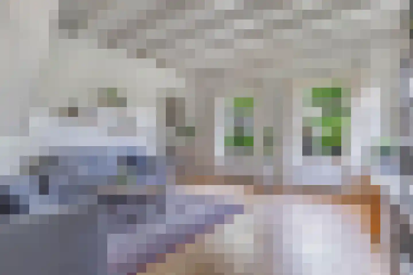 Kontermansweg 43 De Hoeve thumbnail 9