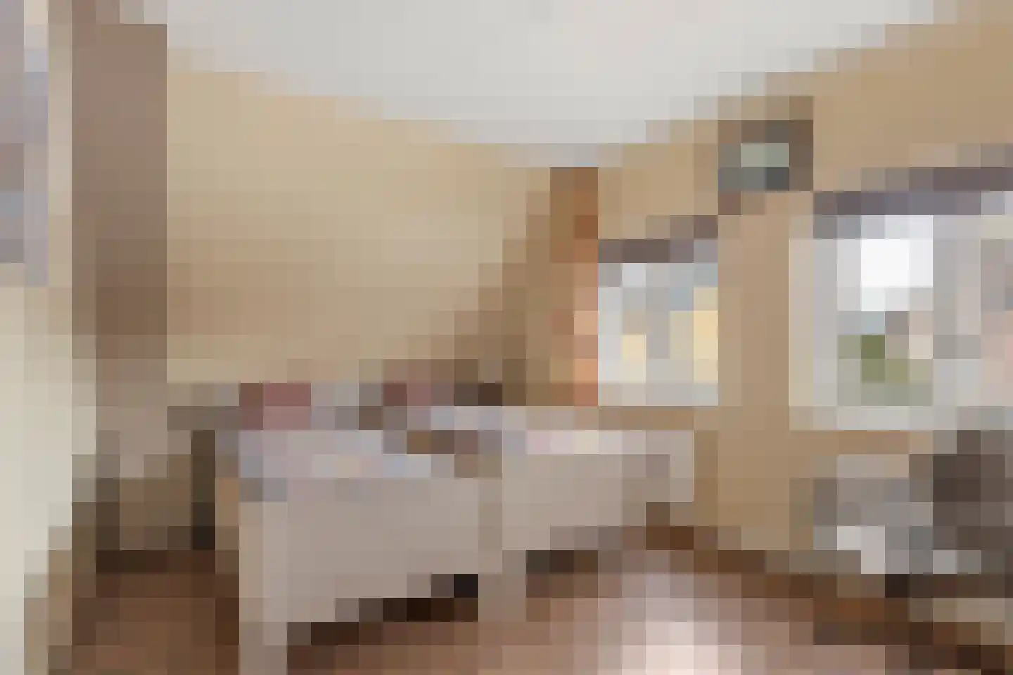 Koog 19 Zuid-Scharwoude thumbnail 18