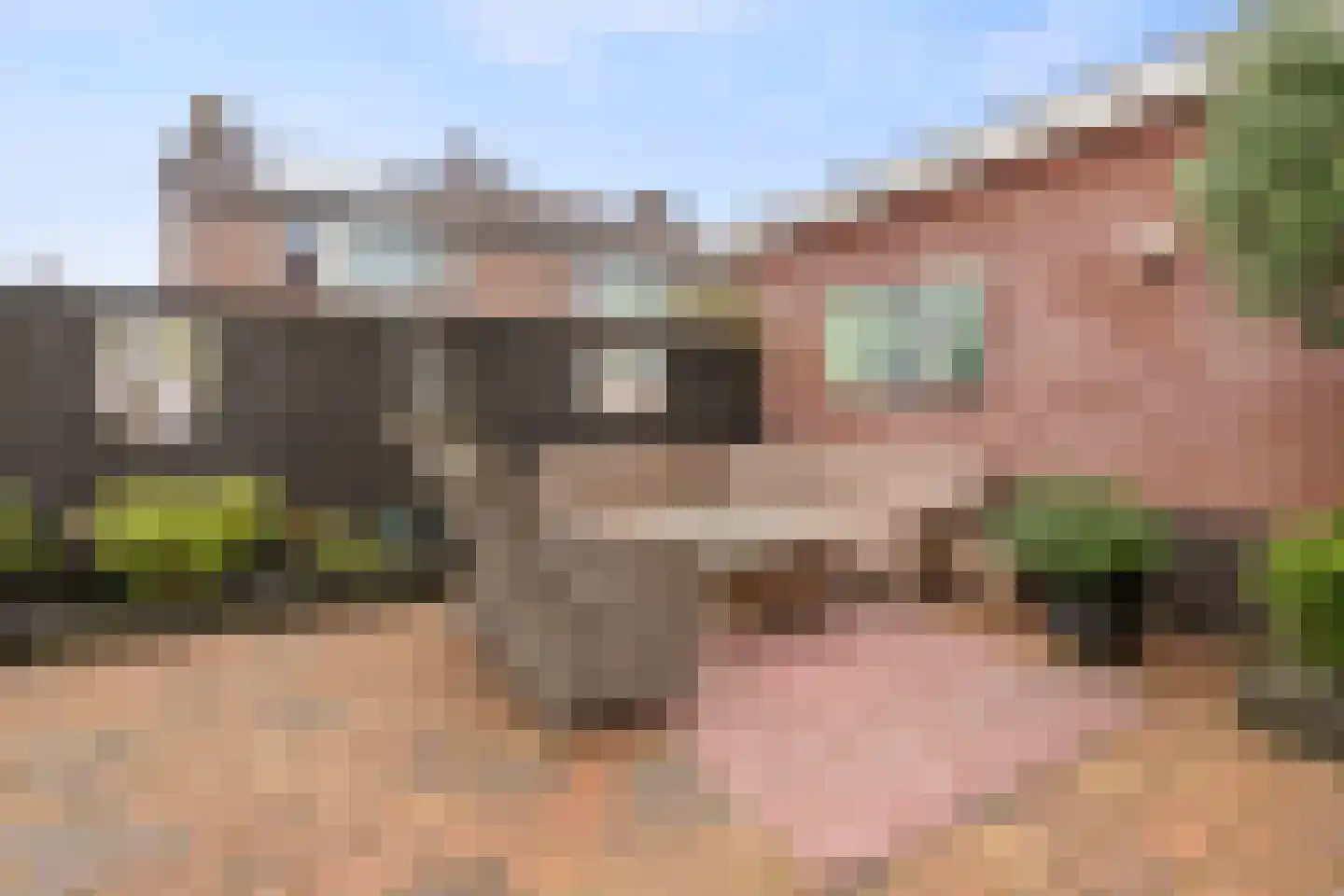 Koog 19 Zuid-Scharwoude thumbnail 29