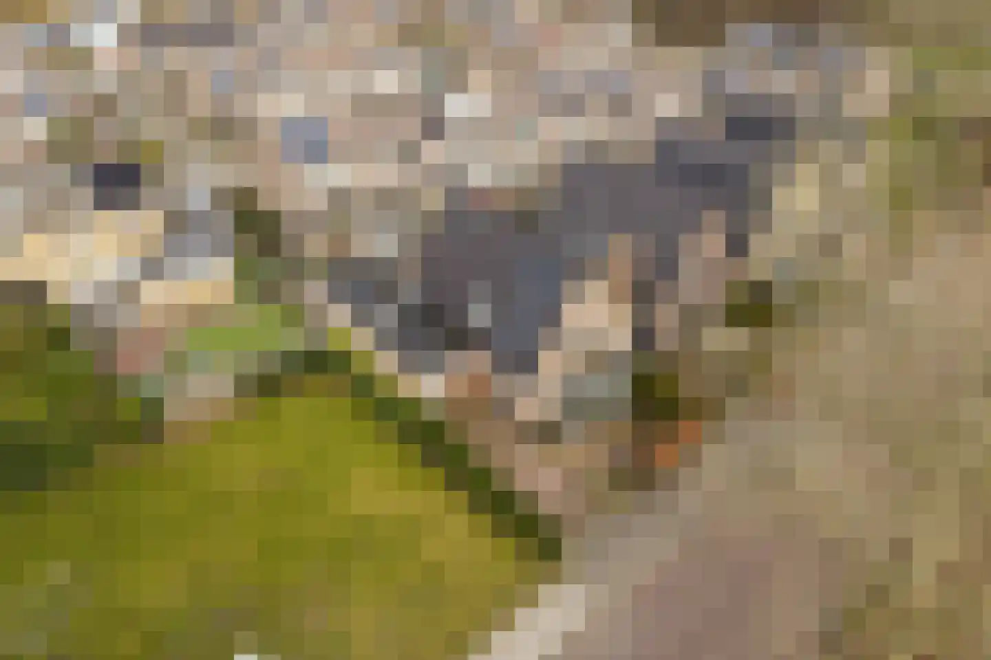 Koog 19 Zuid-Scharwoude thumbnail 33