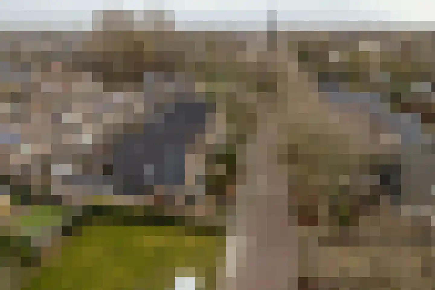 Koog 19 Zuid-Scharwoude thumbnail 34